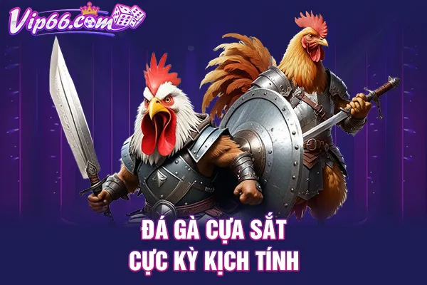 Đá gà cựa sắt cực kỳ kịch tính