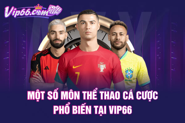 Một số môn thể thao cá cược phổ biến tại VIP66