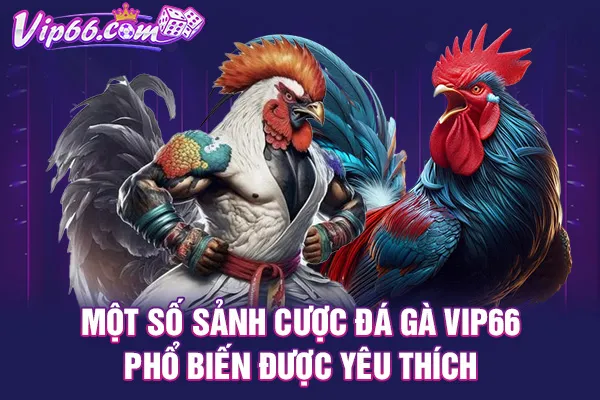 Một số sảnh cược đá gà VIP66 phổ biến được yêu thích