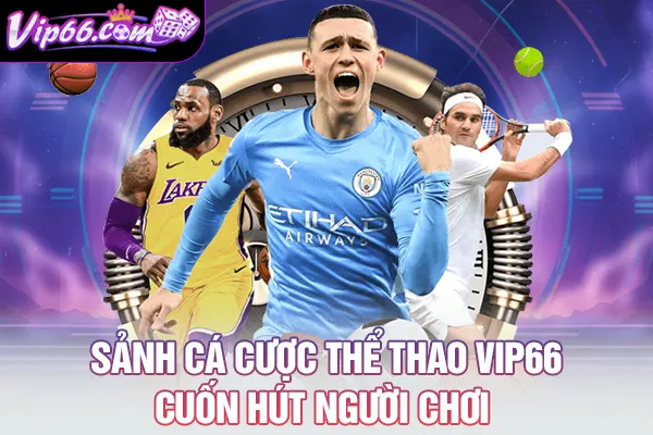 Sảnh cá cược thể thao VIP66 cuốn hút người chơi