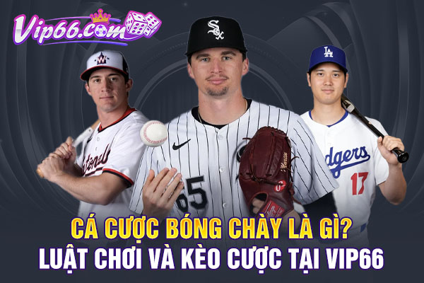 Cá Cược Bóng Chày Là Gì? Luật Chơi Và Kèo Cược Tại VIP66