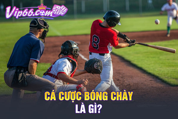 Cá cược bóng chày là gì?