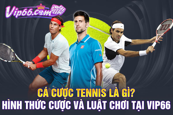 Cá Cược Tennis Là Gì? Hình Thức Cược Và Luật Chơi Tại VIP66