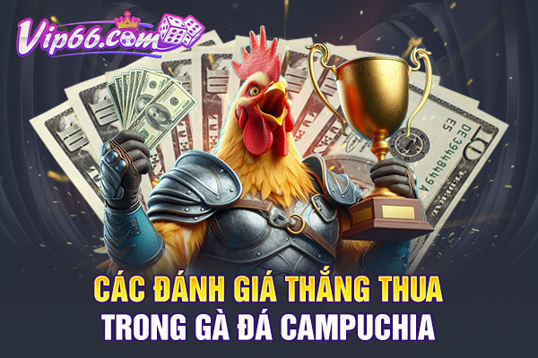 Các đánh giá thắng thua trong gà đá campuchia