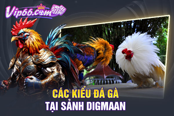 Các kiểu đá gà tại sảnh Digmaan