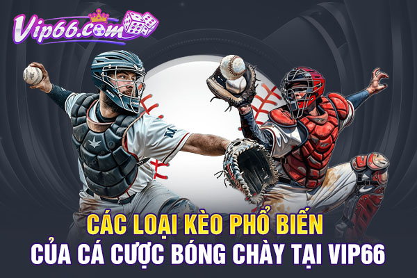 Các loại kèo phổ biến của cá cược bóng chày tại VIP66