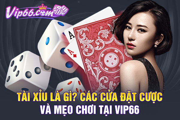 Tài xỉu Là Gì? Các Cửa Đặt Cược Và Mẹo Chơi Tại VIP66