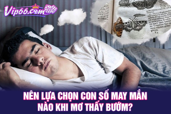 Nên lựa chọn con số may mắn nào khi mơ thấy bướm?